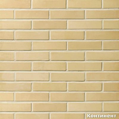 Облицовочный кирпич пустотелый Sarmite 250*120*65